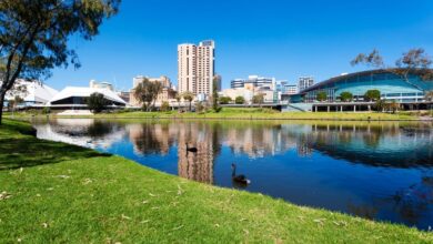 Melhor bairro para morar em Ribeirão Preto guia completo para escolher sua nova casa