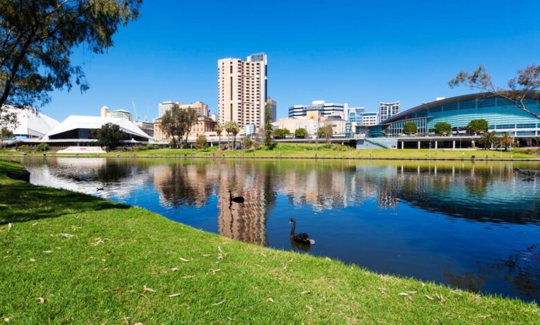 Melhor bairro para morar em Ribeirão Preto guia completo para escolher sua nova casa