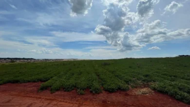 Terrenos em CravinhosSP, investimento seguro e valorização garantida