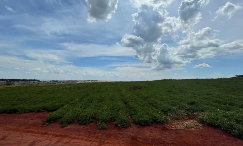 Terrenos em CravinhosSP, investimento seguro e valorização garantida