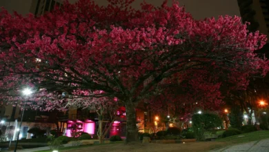 10 cidades brasileiras incríveis para morar e visitar