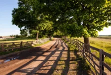 Tudo que você precisa saber sobre CNIR, CCIR, SNCR, CAFIR, CIB, CAR e ITR – guia completo