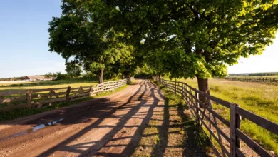 Tudo que você precisa saber sobre CNIR, CCIR, SNCR, CAFIR, CIB, CAR e ITR – guia completo