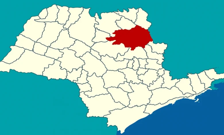 Ribeirão Preto fica perto de qual cidade