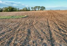 Alqueires e hectares entendendo e aplicando as unidades de medida de área