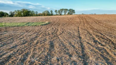 Alqueires e hectares entendendo e aplicando as unidades de medida de área