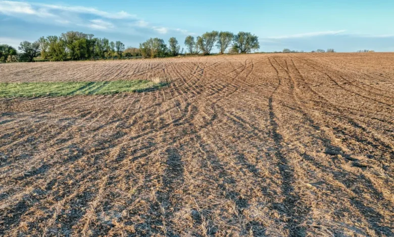 Alqueires e hectares entendendo e aplicando as unidades de medida de área